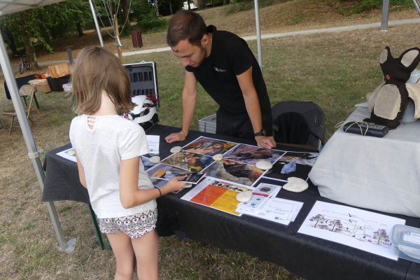 Stand à la découverte des chauves-souris © LPO CVDL